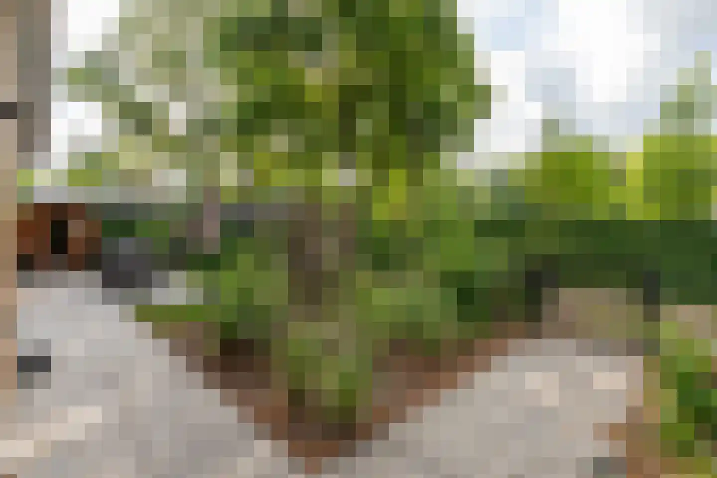 Zonneoordlaan 47 R 98 Ede thumbnail 4