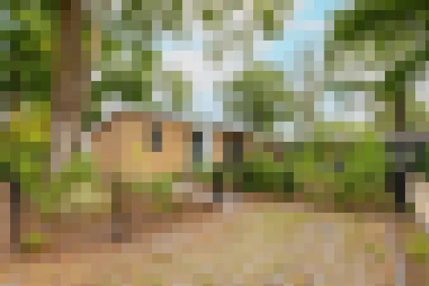 Zonneoordlaan 47 R 98 Ede thumbnail 5
