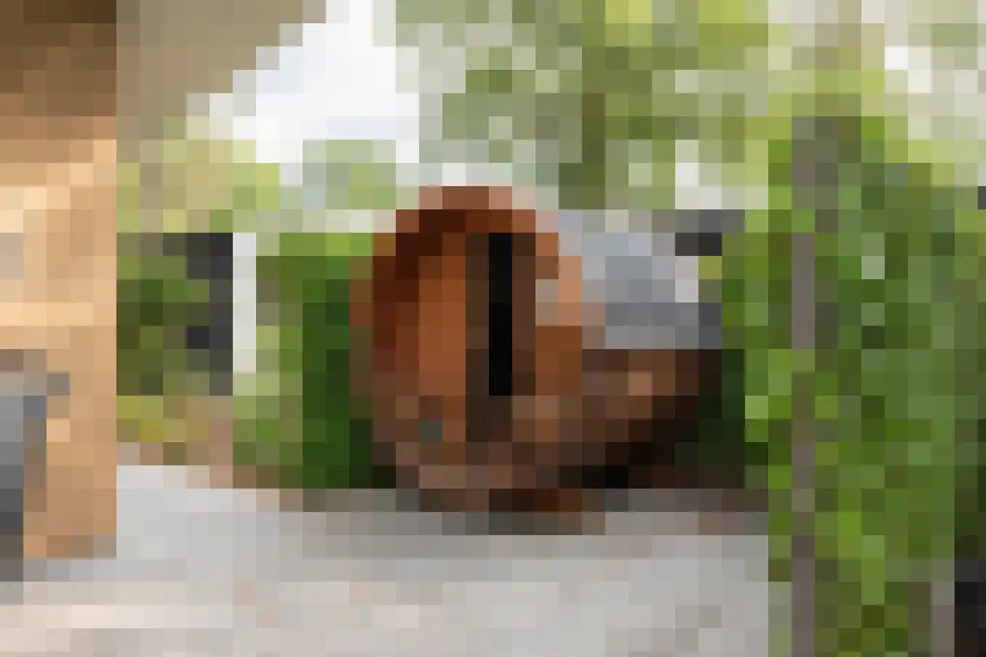 Zonneoordlaan 47 R 98 Ede thumbnail 7