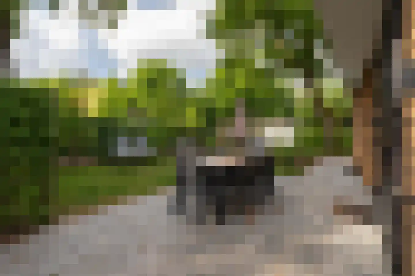 Zonneoordlaan 47 R 98 Ede thumbnail 9