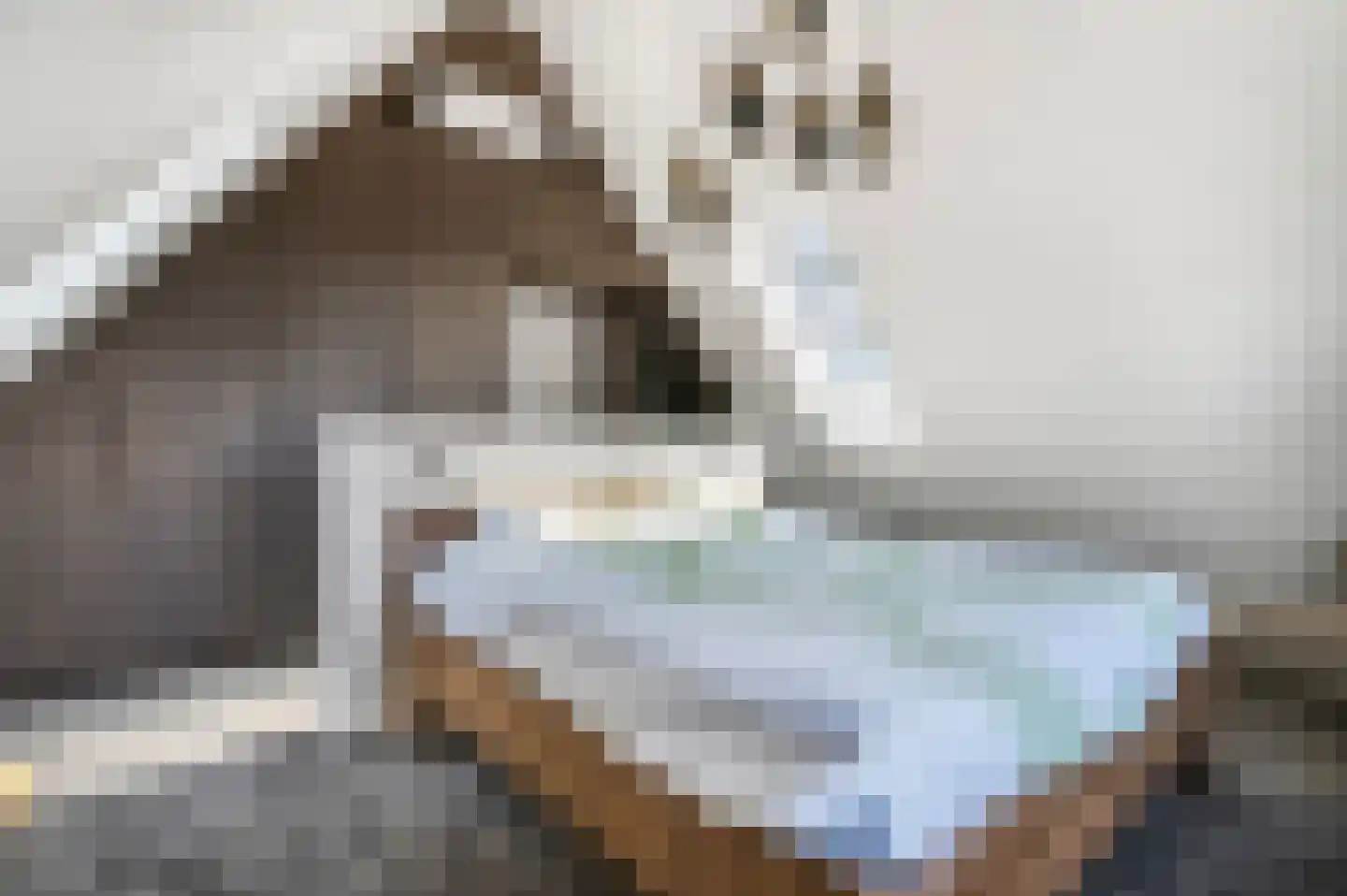 Zonneoordlaan 5 Ede thumbnail 22