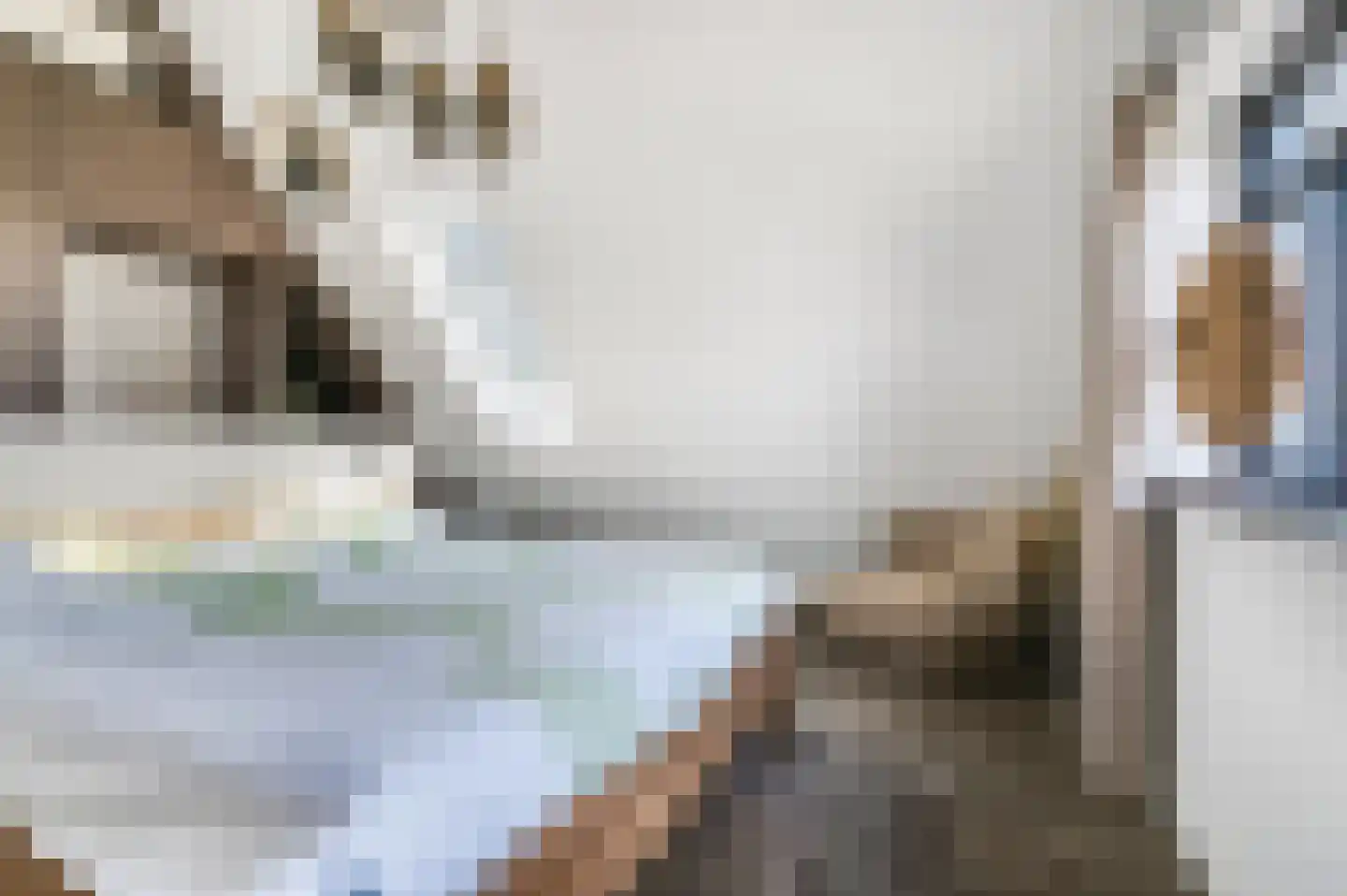 Zonneoordlaan 5 Ede thumbnail 24