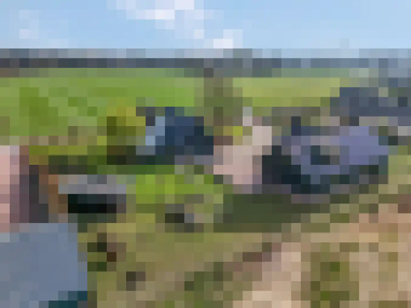 Zonneoordlaan 5 Ede thumbnail 58