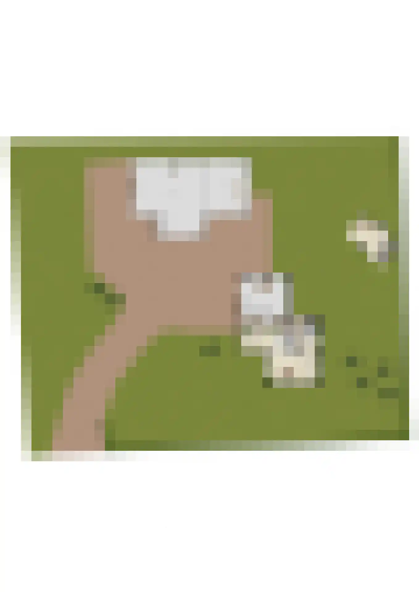 Zonneoordlaan 5 Ede thumbnail 64