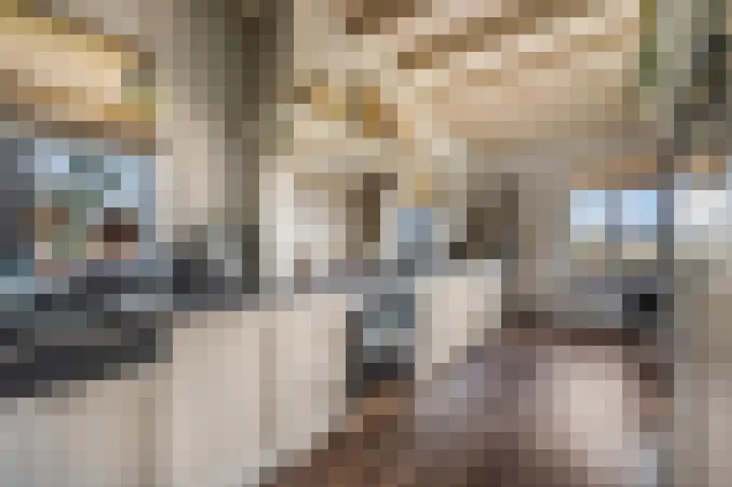 Zonneoordlaan 5 Ede thumbnail 7