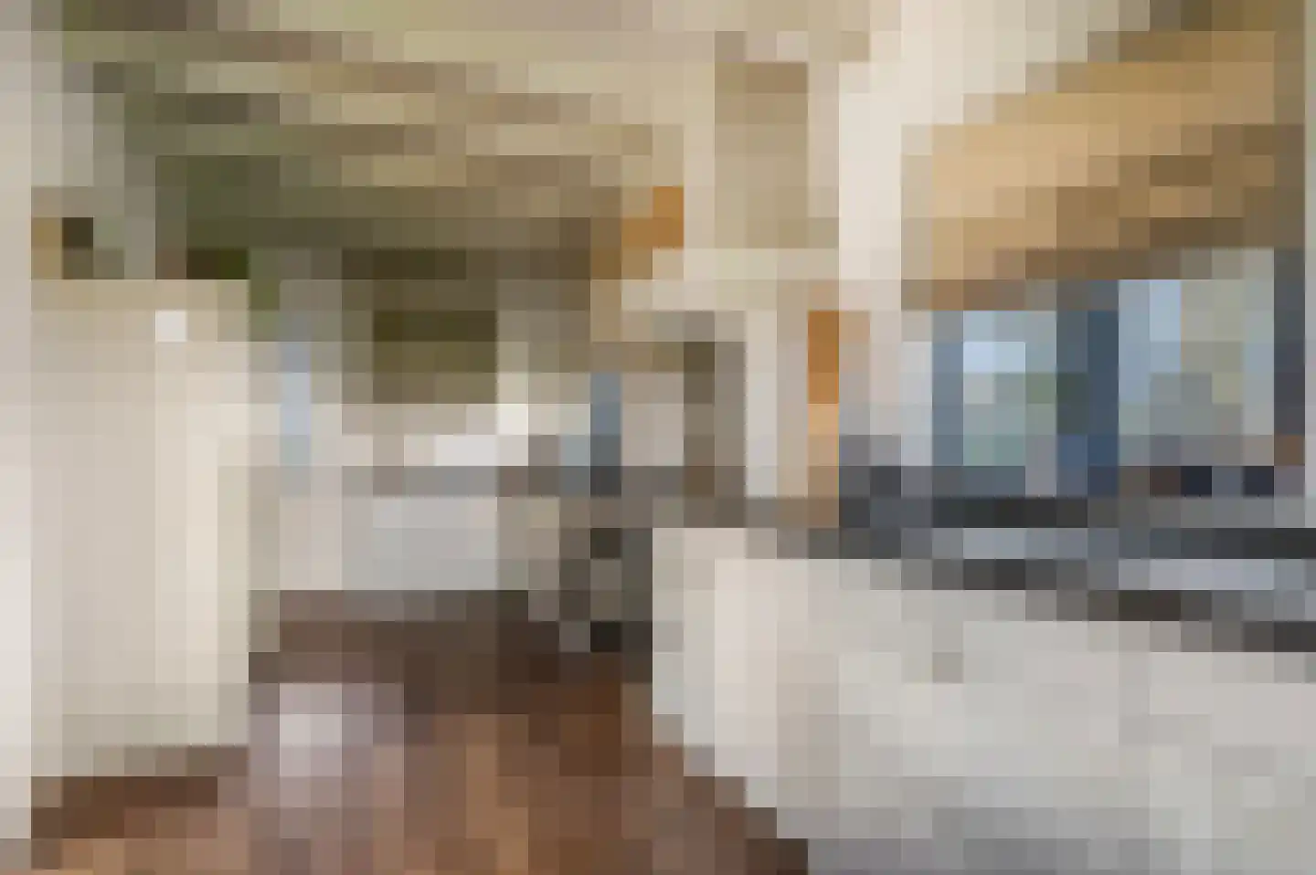 Zonneoordlaan 5 Ede thumbnail 8