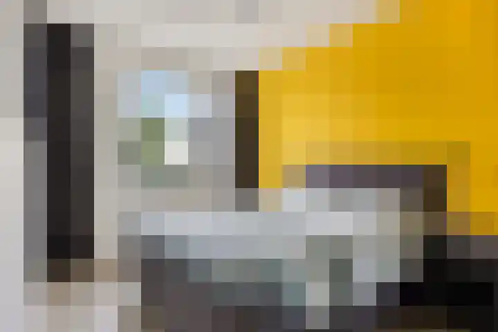 Zonnepad 11 Son en Breugel thumbnail 15