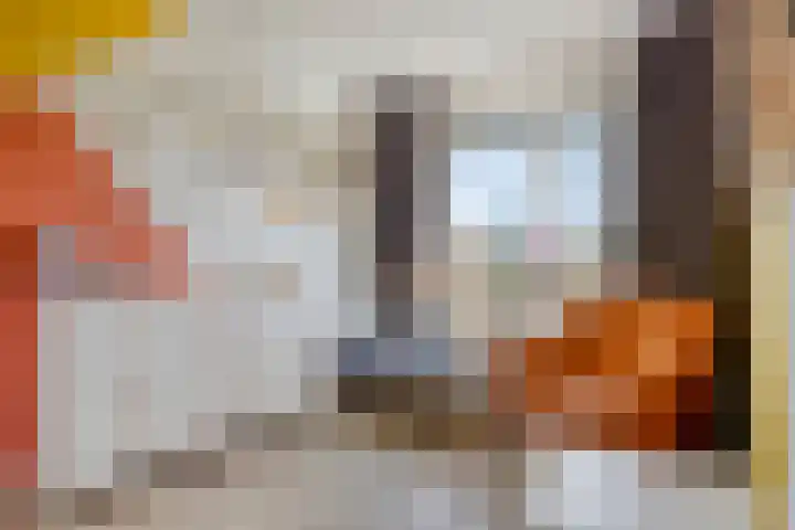 Zonnepad 11 Son en Breugel thumbnail 17