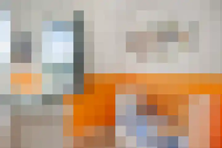 Zonnepad 11 Son en Breugel thumbnail 19