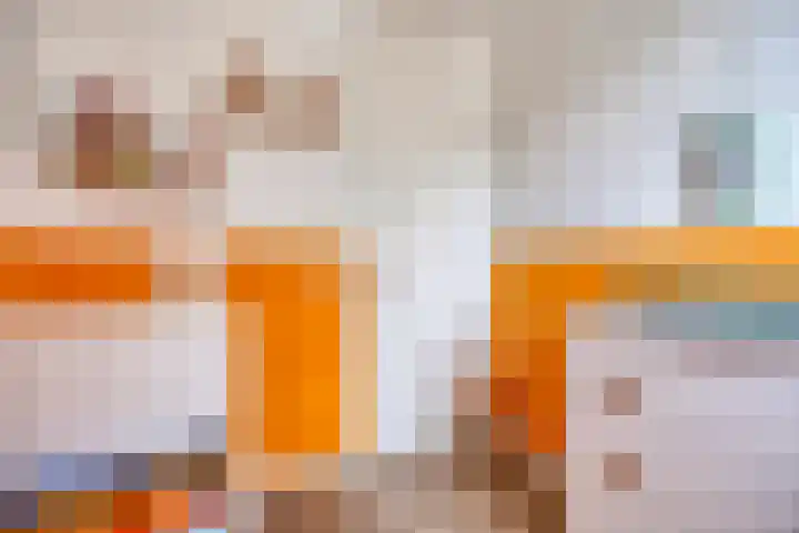 Zonnepad 11 Son en Breugel thumbnail 20
