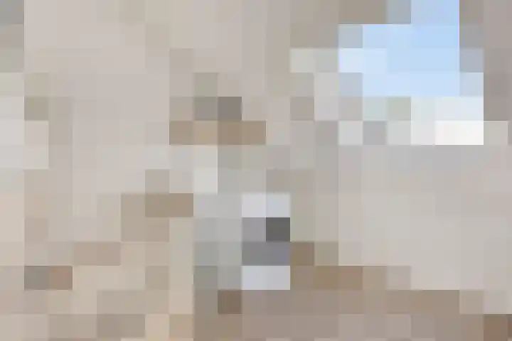 Zonnepad 11 Son en Breugel thumbnail 23
