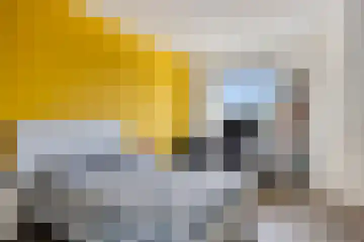 Zonnepad 11 Son en Breugel thumbnail 24
