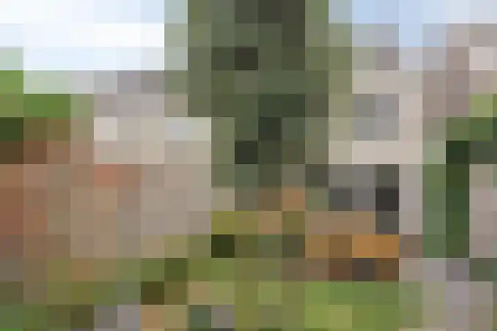 Zonnepad 11 Son en Breugel thumbnail 29