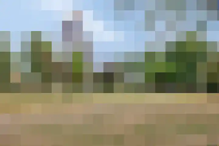 Zonnepad 11 Son en Breugel thumbnail 33