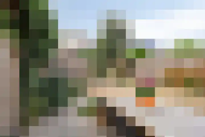 Zonnepad 11 Son en Breugel thumbnail 4