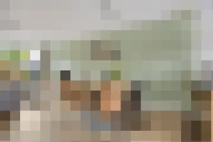 Zonnepad 11 Son en Breugel thumbnail 8