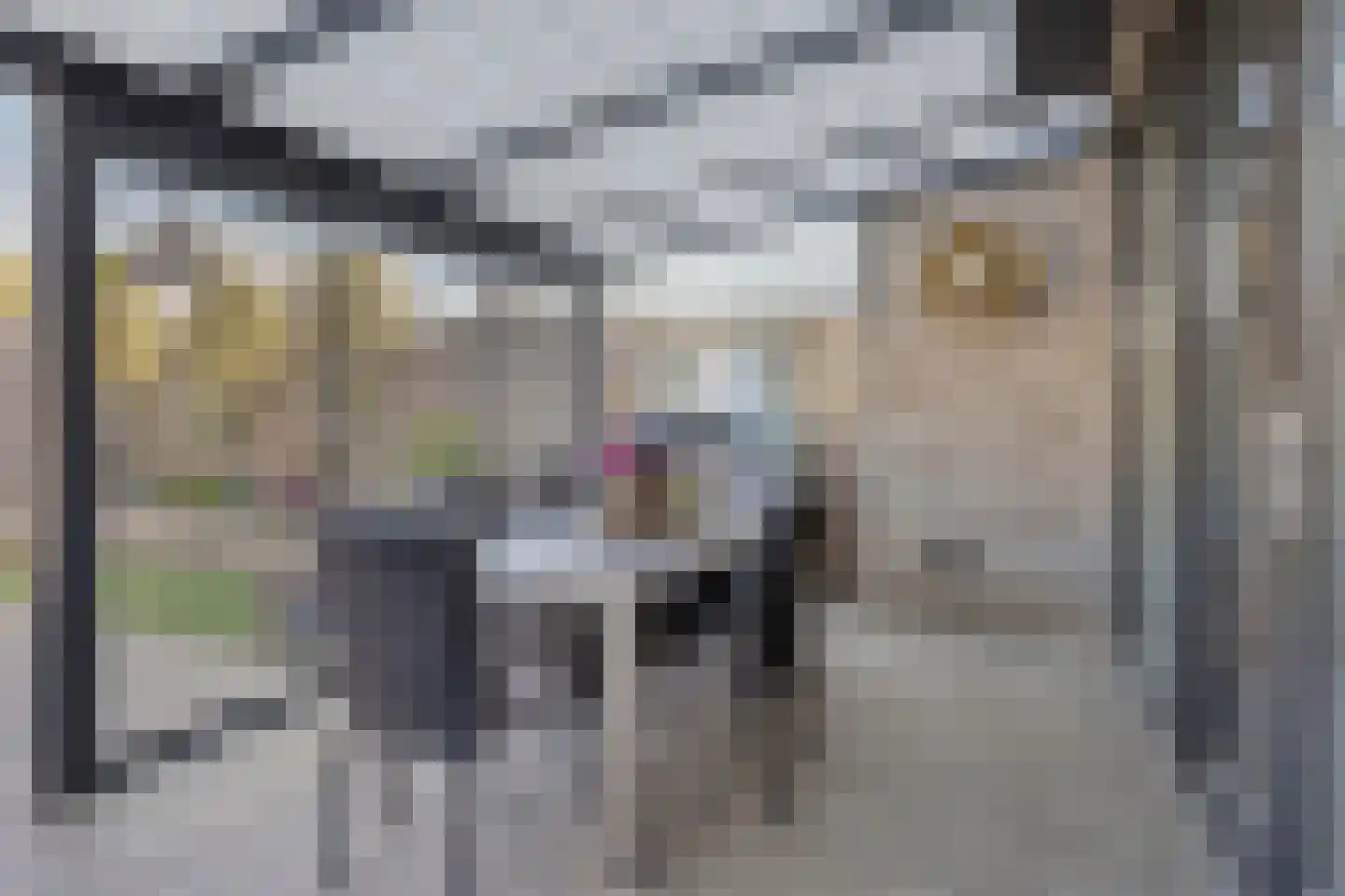 Zonnepad 3 Son en Breugel thumbnail 34
