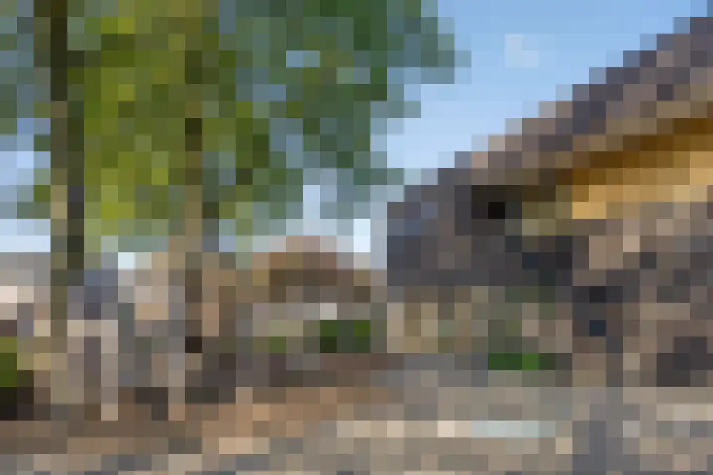 Zonnepad 3 Son en Breugel thumbnail 48