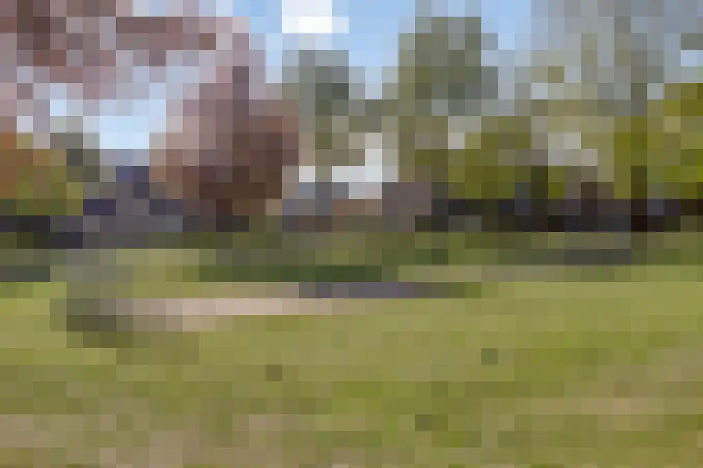 Zonnepad 3 Son en Breugel thumbnail 49