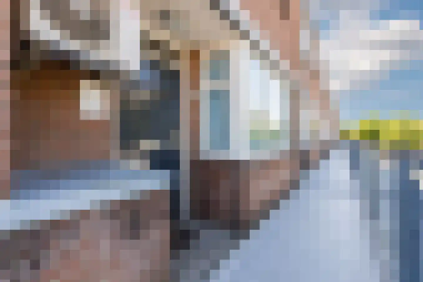 Zonneplein 27 Bergen op Zoom thumbnail 9