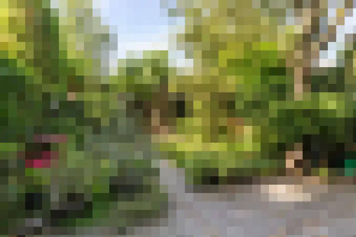 Zonneplein 3 Bilthoven thumbnail 31