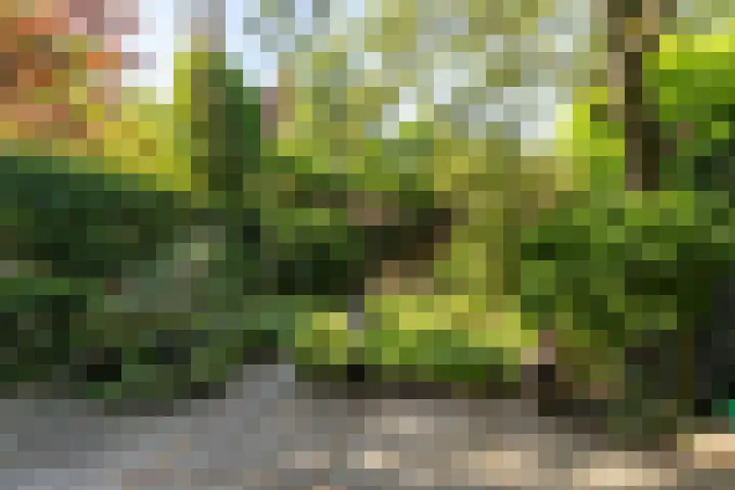 Zonneplein 3 Bilthoven thumbnail 32