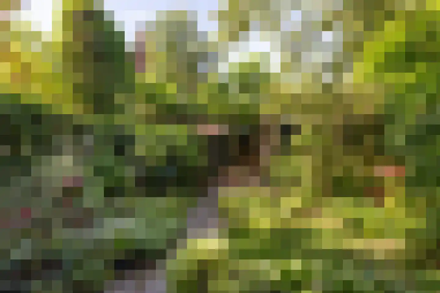 Zonneplein 3 Bilthoven thumbnail 33