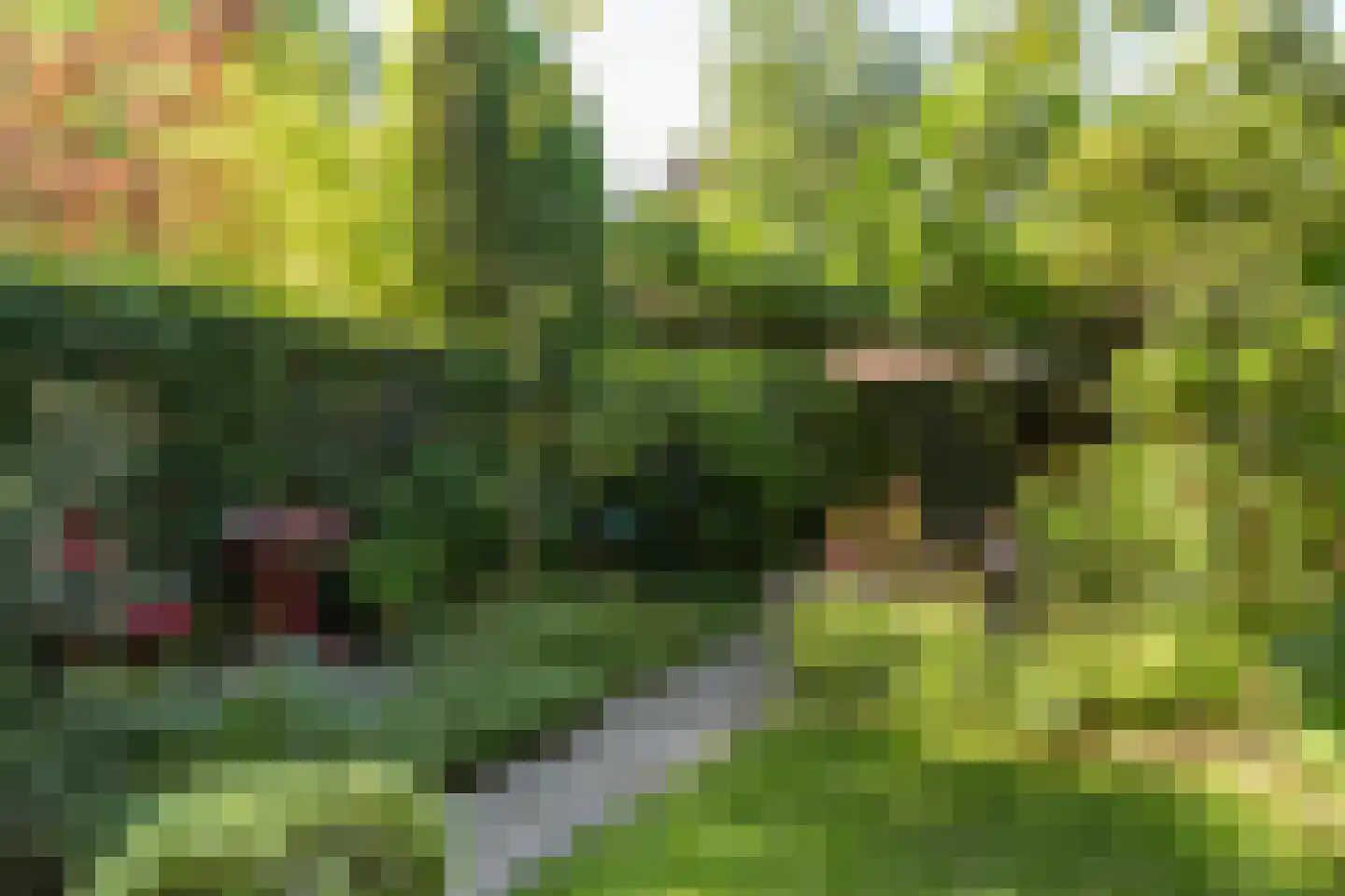 Zonneplein 3 Bilthoven thumbnail 34