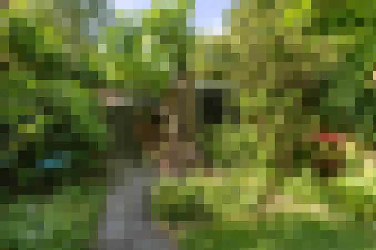 Zonneplein 3 Bilthoven thumbnail 35