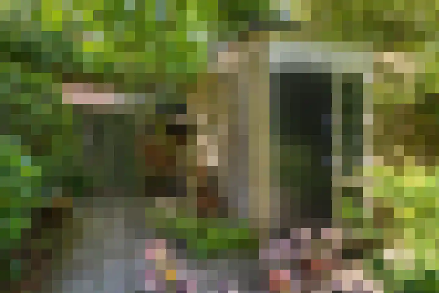 Zonneplein 3 Bilthoven thumbnail 36
