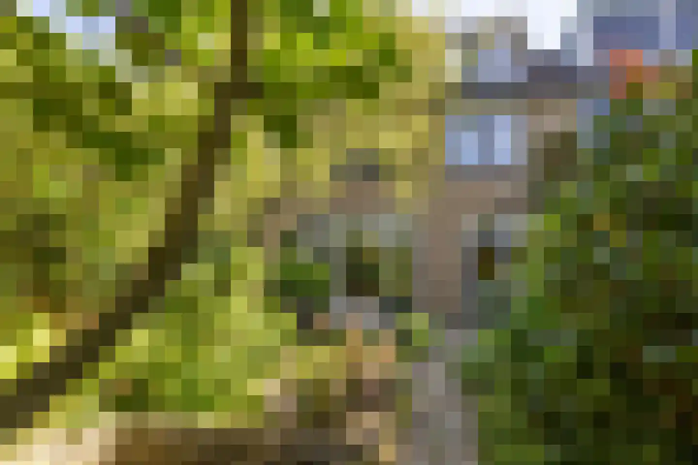 Zonneplein 3 Bilthoven thumbnail 37