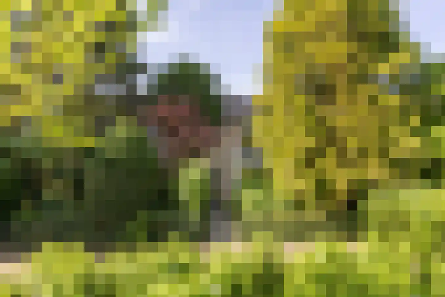 Zonneplein 3 Bilthoven thumbnail 43