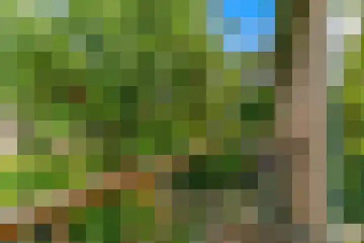 Zonneplein 9 Bilthoven thumbnail 35