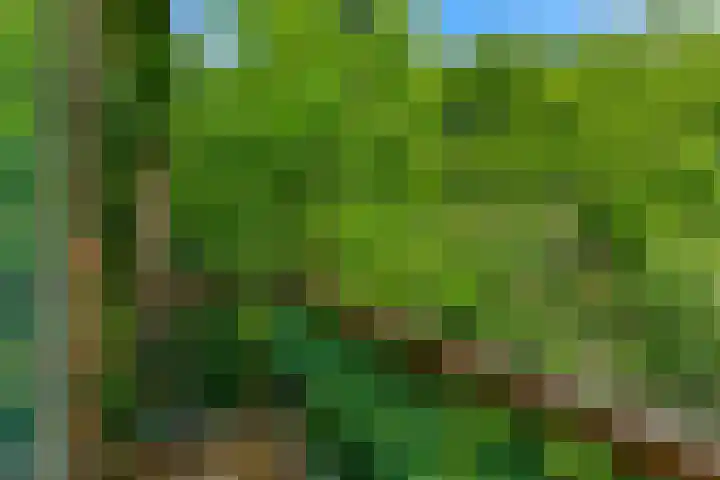 Zonneplein 9 Bilthoven thumbnail 36
