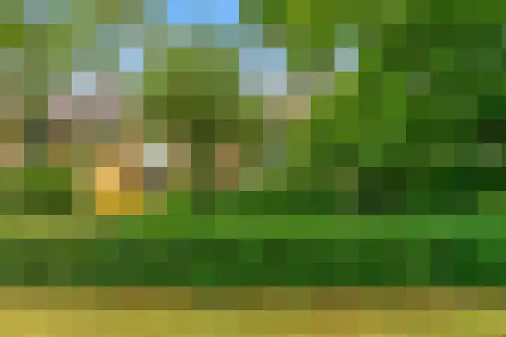 Zonneplein 9 Bilthoven thumbnail 4