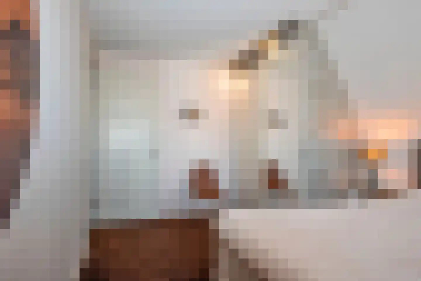 Zonneroosje 28 Rijssen thumbnail 18