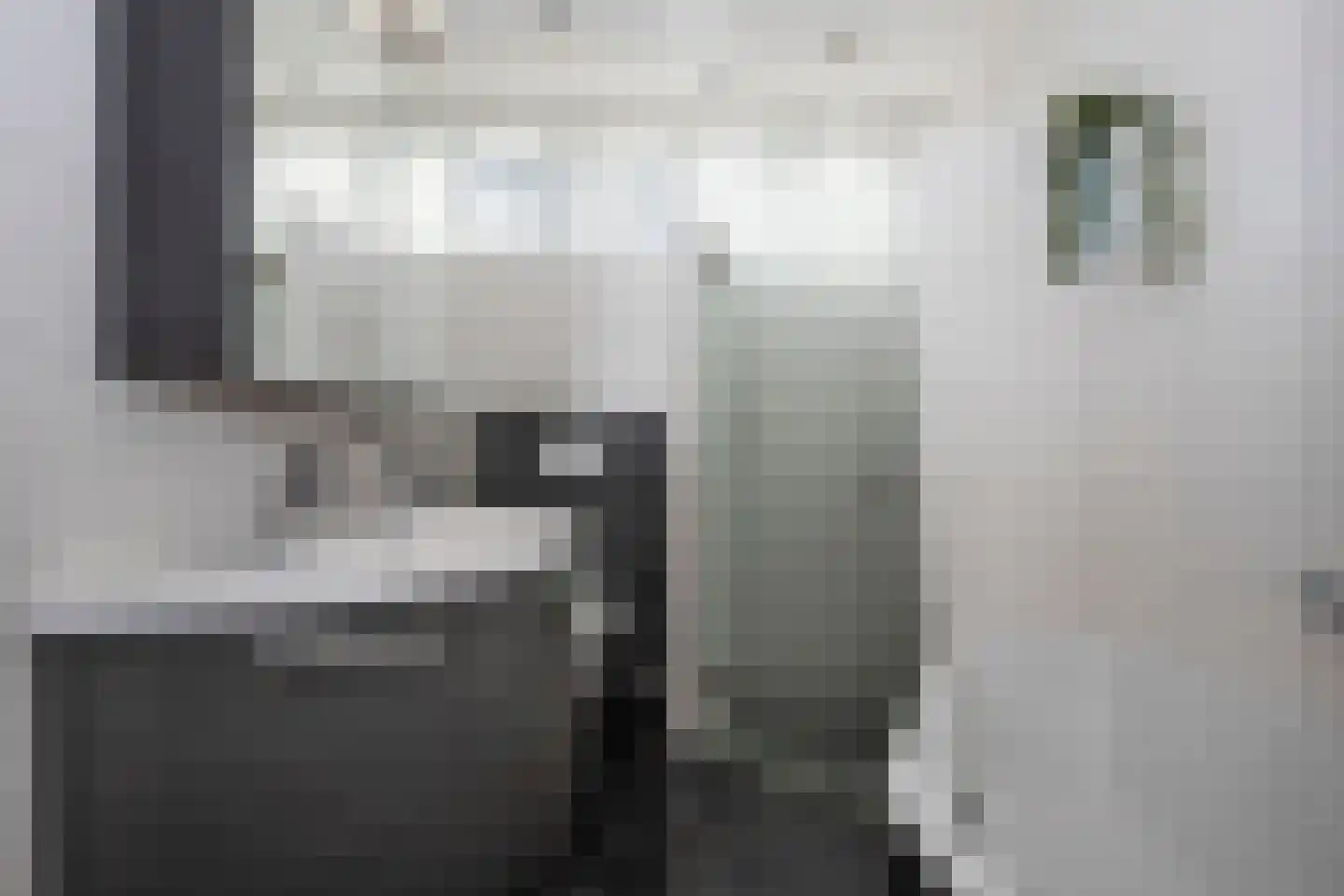 Zonneroosje 28 Rijssen thumbnail 21