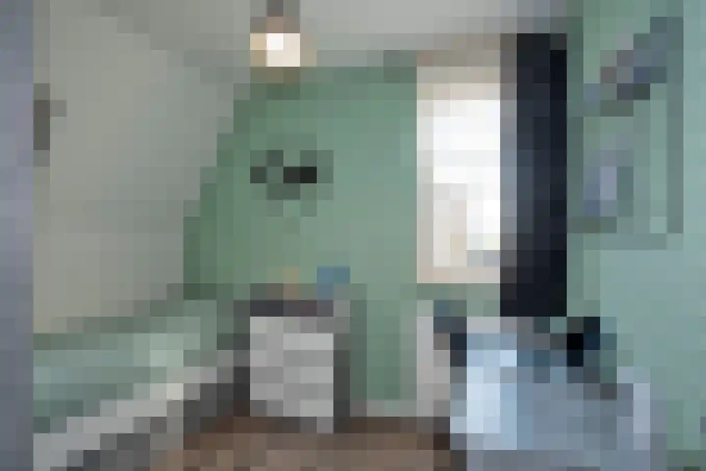 Zonneroosje 28 Rijssen thumbnail 23