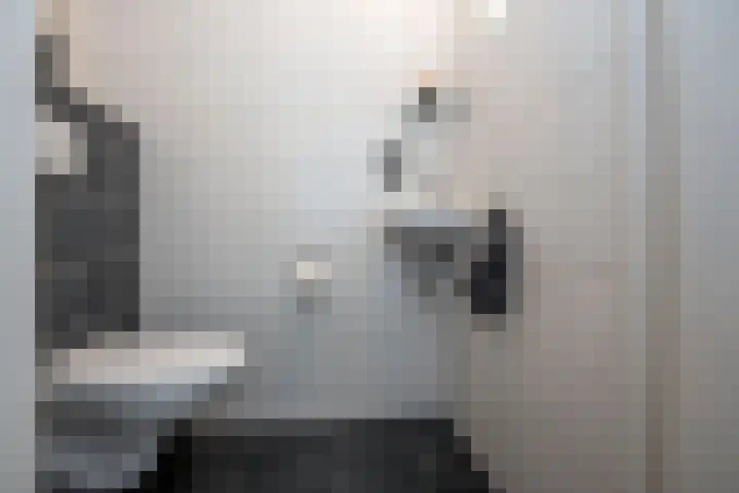 Zonneroosje 28 Rijssen thumbnail 7