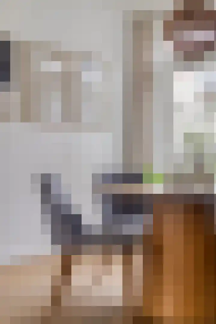 Zonneroosstraat 17 Eindhoven thumbnail 11