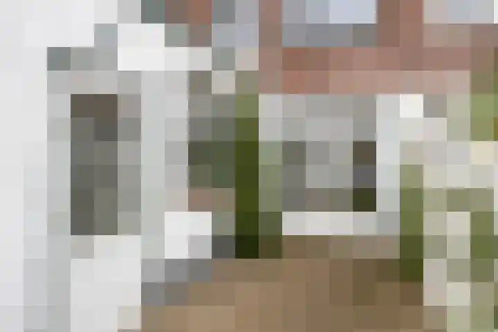 Zonneroosstraat 17 Eindhoven thumbnail 29
