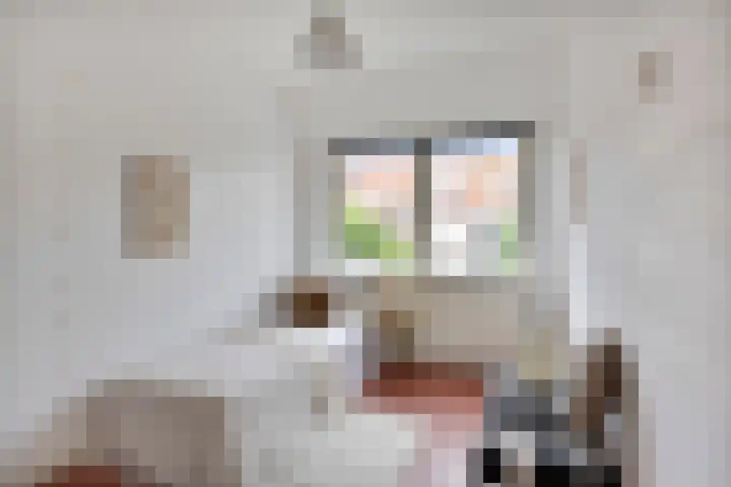 Zonneroosstraat 21 Eindhoven thumbnail 19