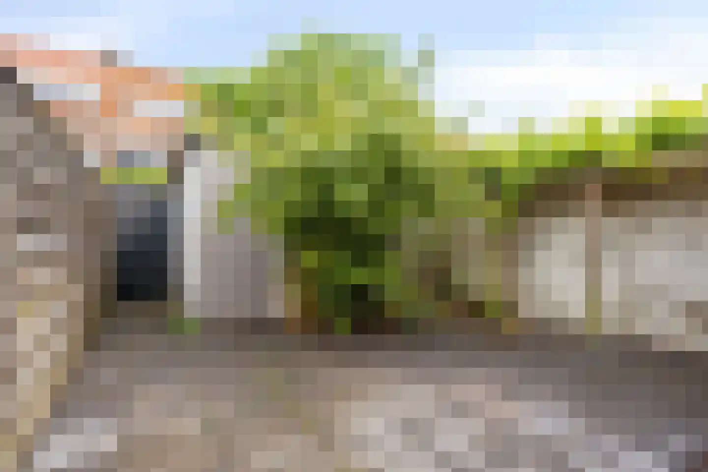 Zonneroosstraat 21 Eindhoven thumbnail 26
