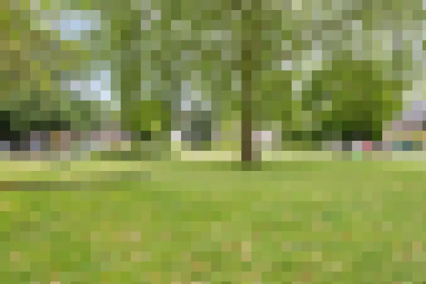 Zonneroosstraat 21 Eindhoven thumbnail 28