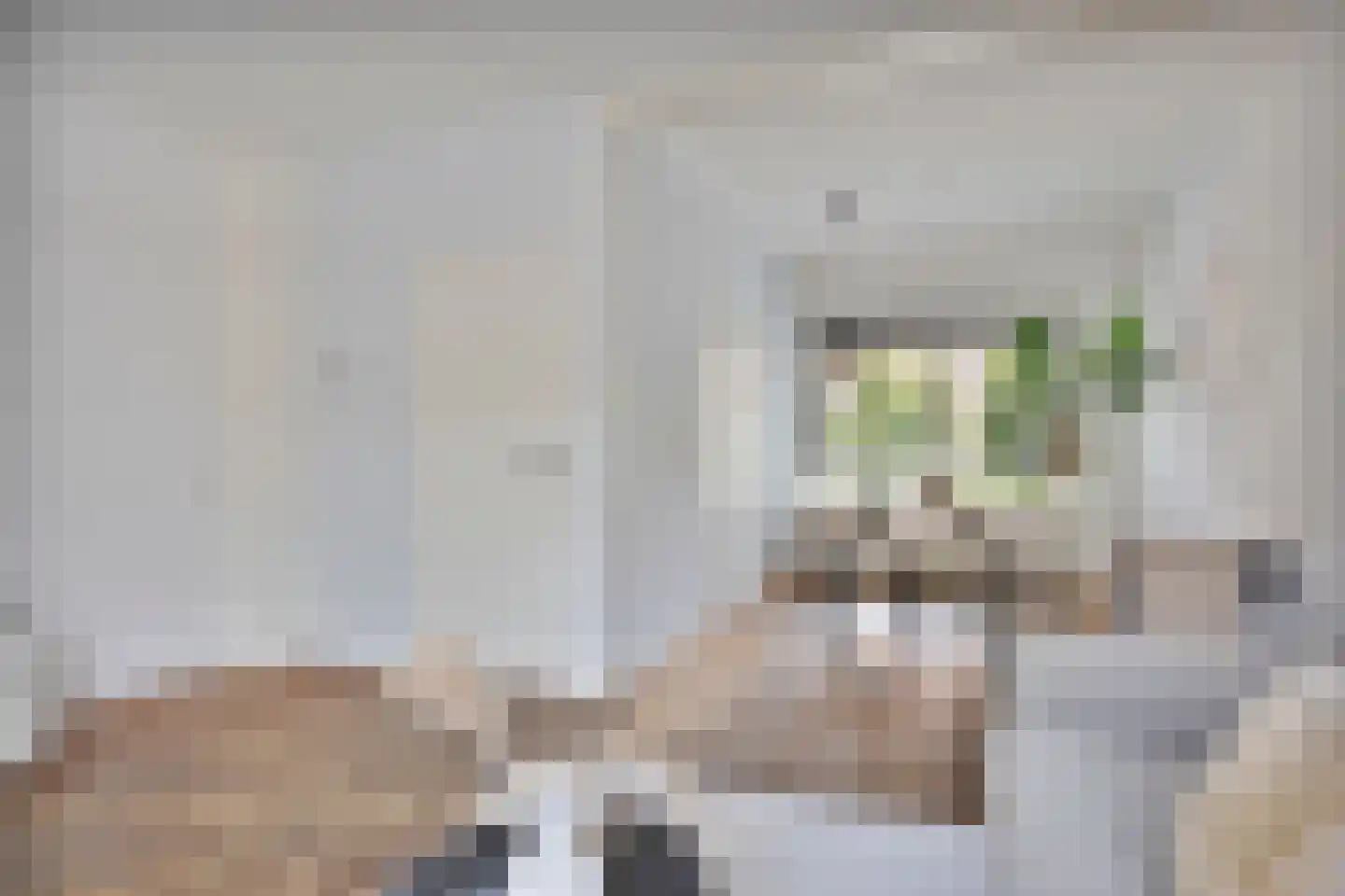Zonneroosstraat 21 Eindhoven thumbnail 6