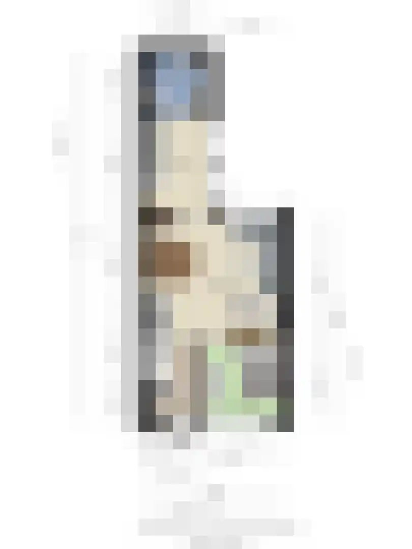 Zonneroosstraat 24 Eindhoven thumbnail 25