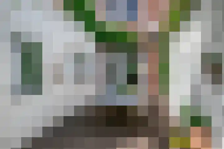 Zonneroosstraat 27 Eindhoven thumbnail 25