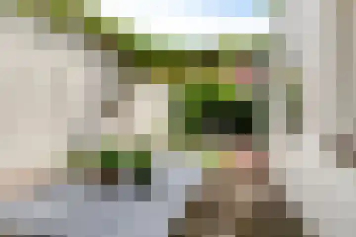 Zonneroosstraat 27 Eindhoven thumbnail 26