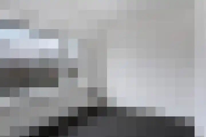 Zonneroosstraat 31 A Eindhoven thumbnail 8