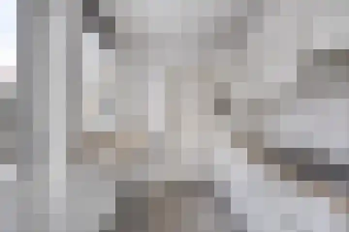 Zonneroosstraat 31 Eindhoven thumbnail 13